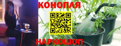 бошки Можга