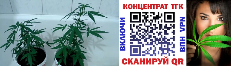 продажа наркотиков Верхняя Салда Дистиллят ТГК вейп