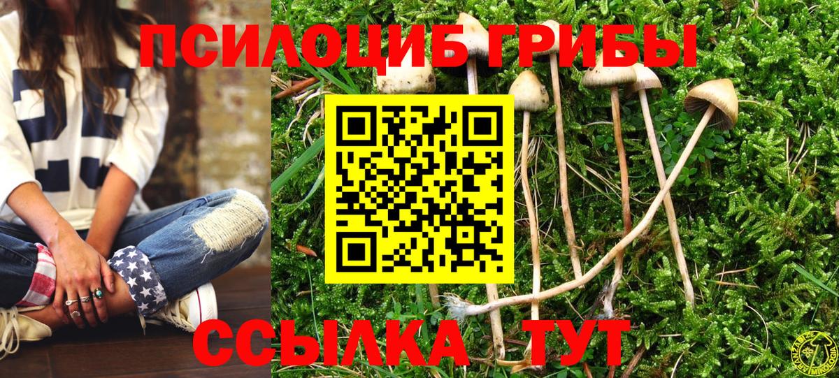 Галлюциногенные грибы мухоморы Верхняя Салда