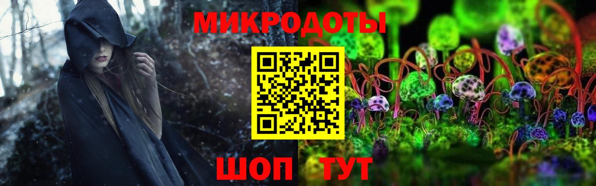 Верхняя Салда  Псилоцибиновые грибы Psilocybine cubensis  закладка  Вход с VPN 